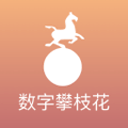 美媒评选NBA新赛季六大后卫：亚历山大第一，库里、哈登入选