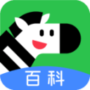 日本负伊朗痛失小组第一！晋级八强如今也悬了？